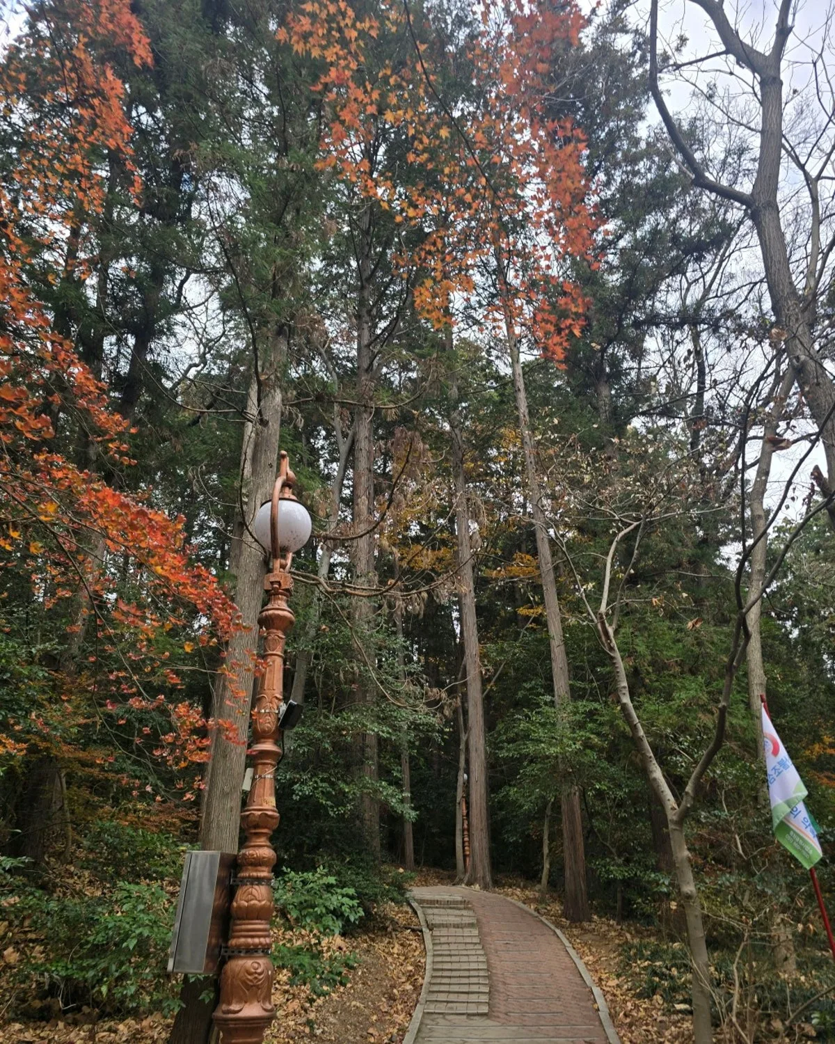 チュンアン公園のメイン写真