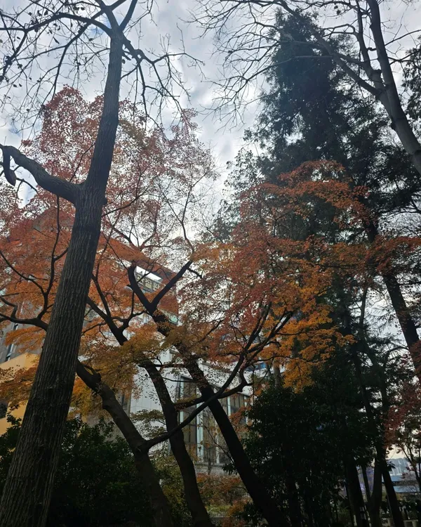チュンアン公園の写真4