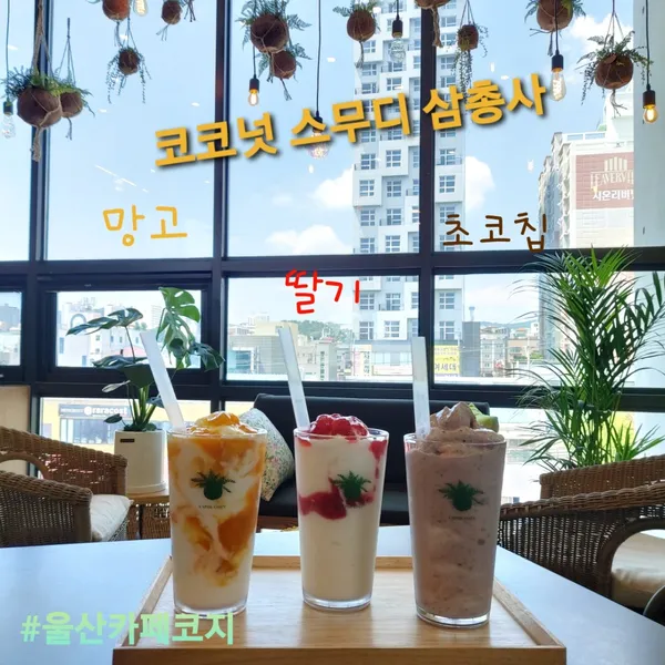 카페코지 울산점