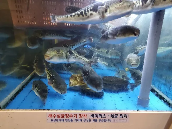 형제복집 사진 4