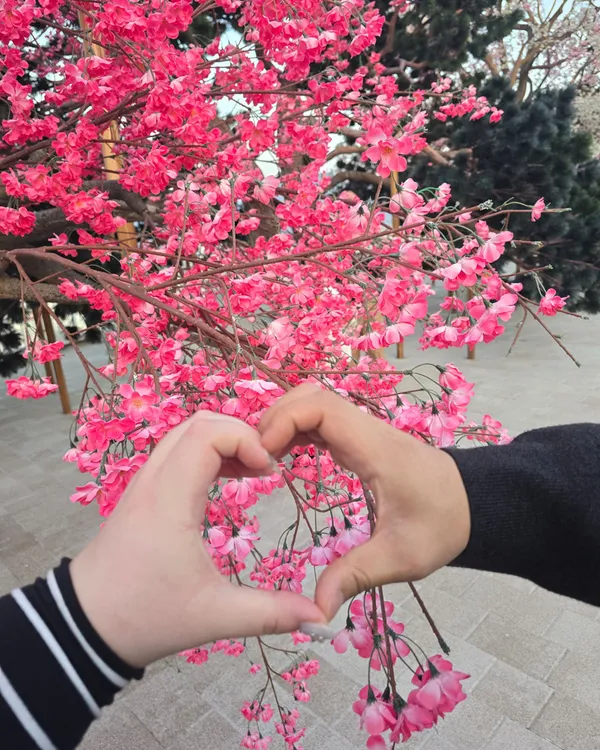 대상공원 사진 3