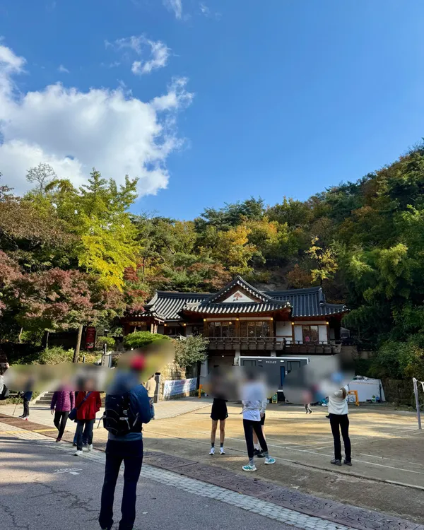 가을단풍길(남산북측순환로) 사진 3