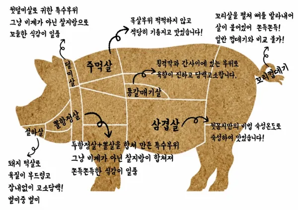뒷꼼치 사진 5