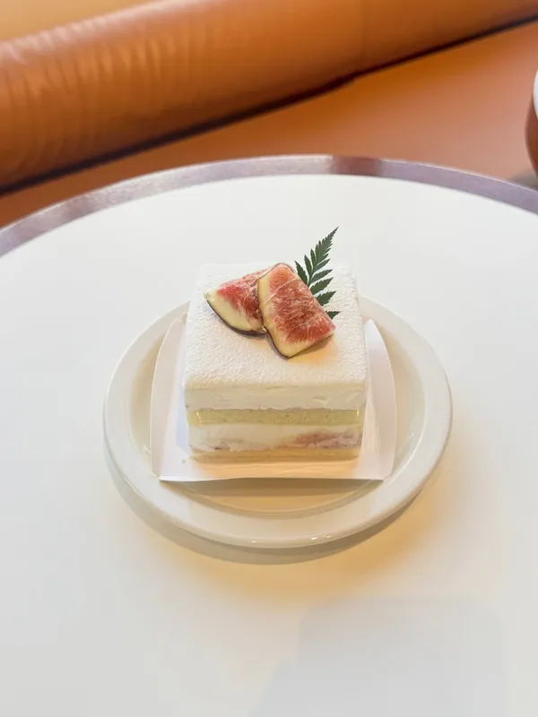 시노퍼 사진 4