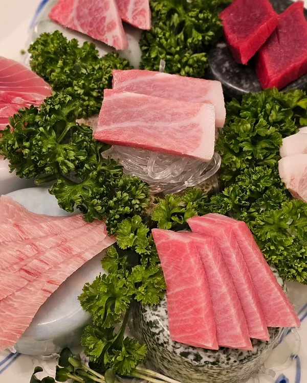 카리브참치 사진 3