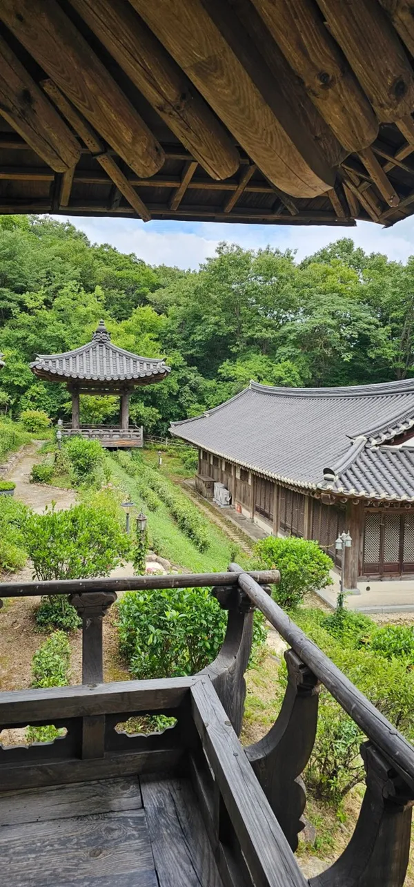 순천전통야생차체험관 사진 3
