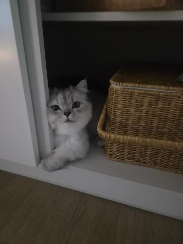 광명동굴CAFE 사진 4