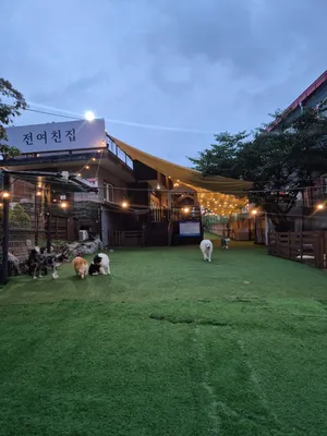チョンヨチンチプ 愛犬カフェ