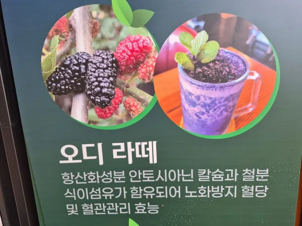 カフェシオッの写真4