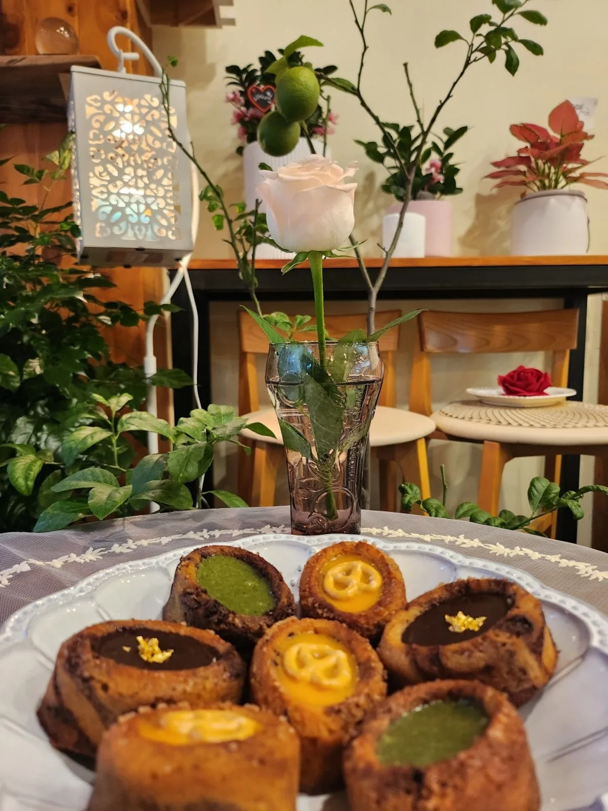 앙젤리나 대표 사진