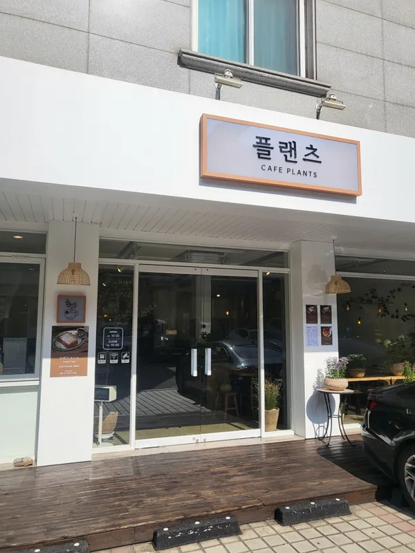 플랜츠 사진 4