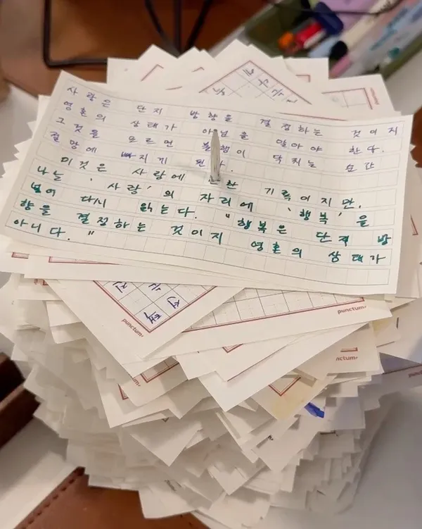 푼크툼 사진 5