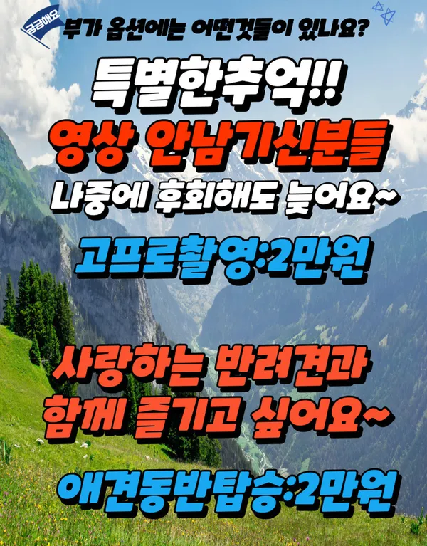 다빈치동력패러 사진 5