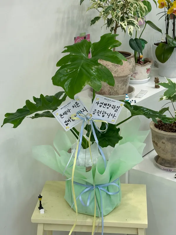 물든꽃 사진 4
