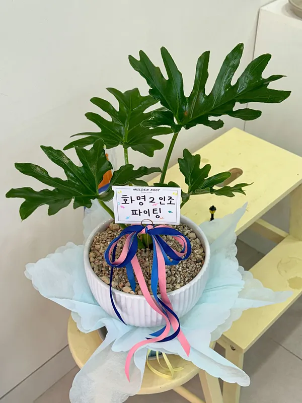 물든꽃 사진 5