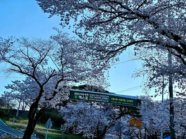 지리산농부마을협동영농조합, photo 2