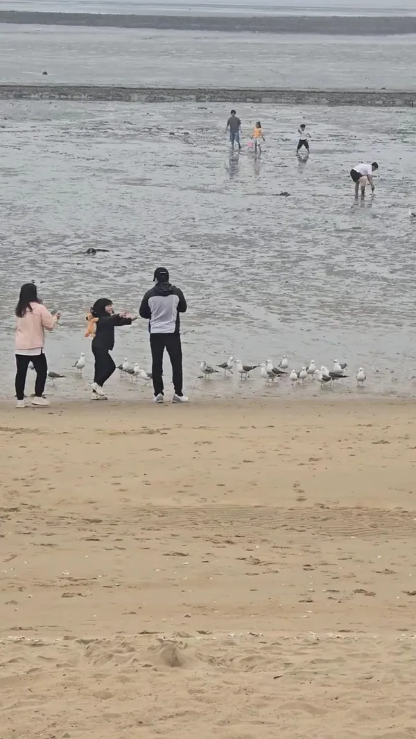 チャンギョンニ海水浴場の写真4