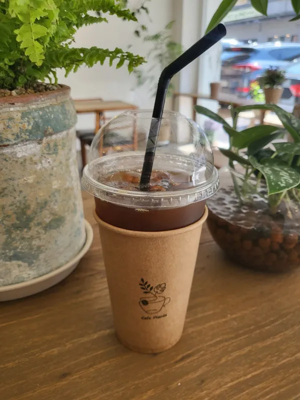 플랜츠 사진 3