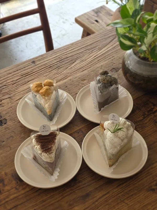 플랜츠