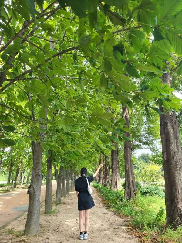 지금, 여기 사진 5