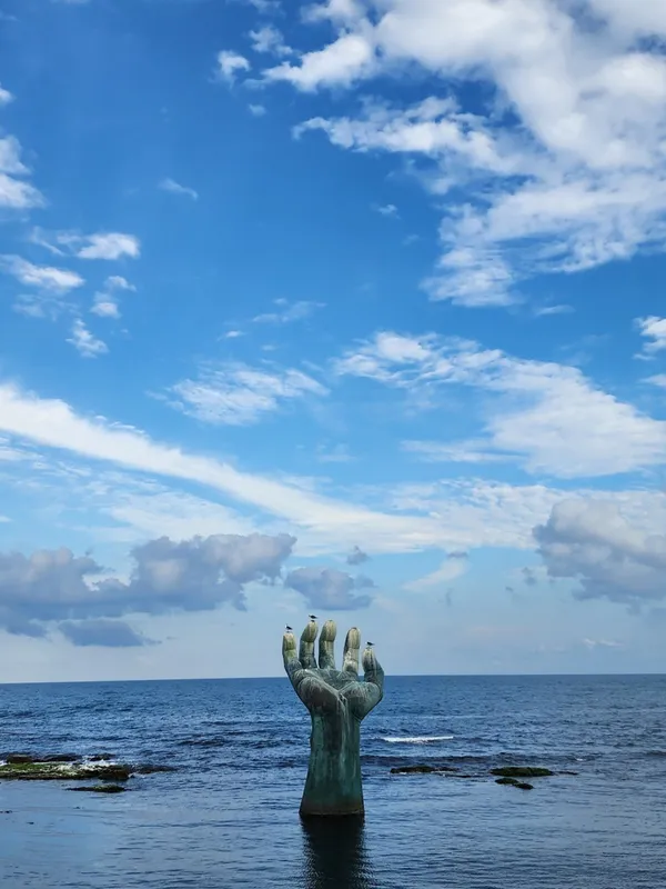 청운정육수산 사진 4