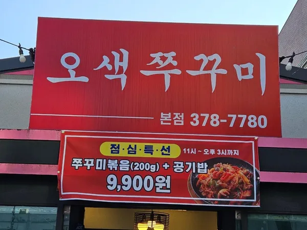 오색쭈꾸미 사진 4