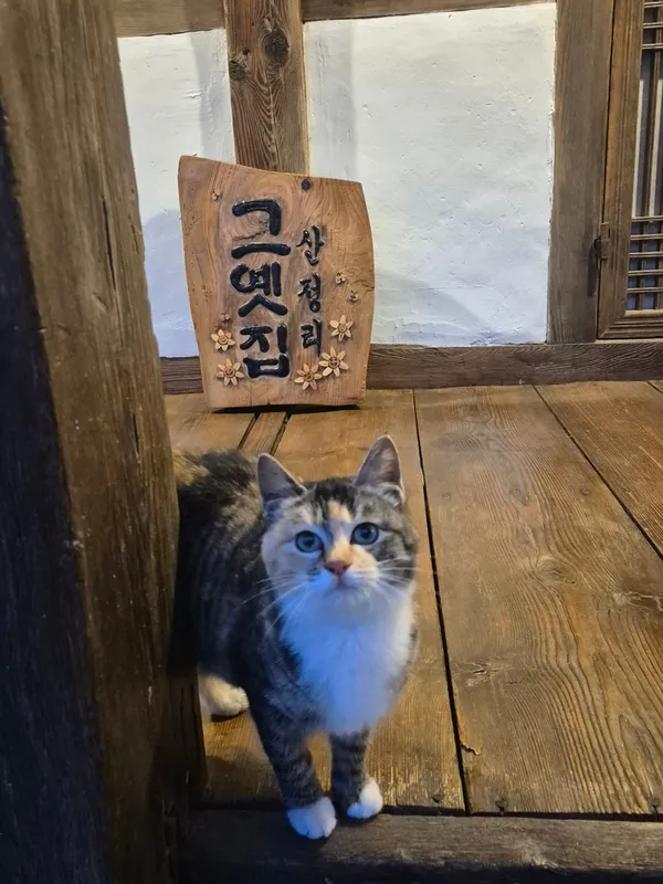 산정리 그옛집の写真4