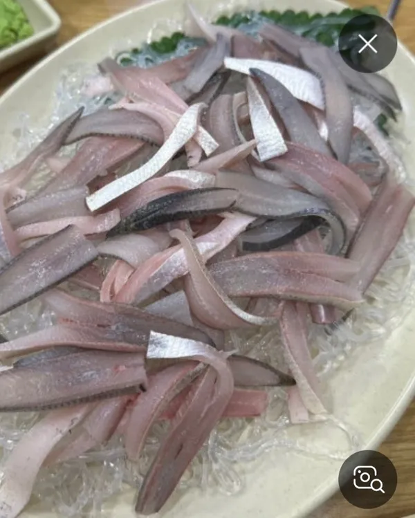 물고기샵 김포장기본점 사진 5