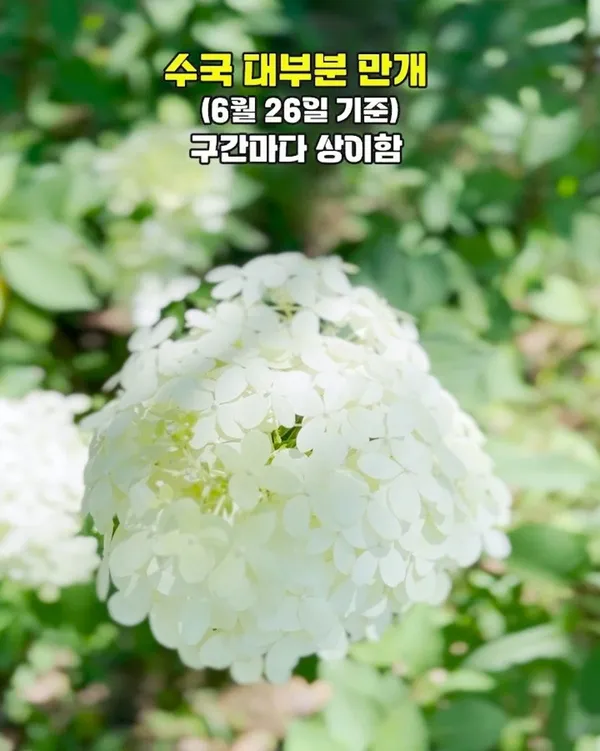 장계관광지 사진 3
