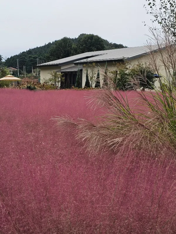 ザ ダラク 農場 植物カフェの写真3