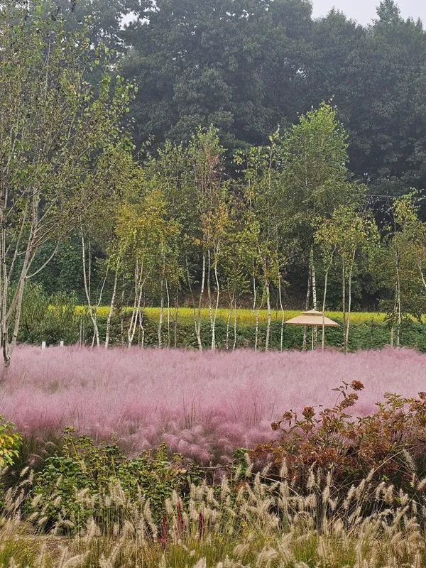 ザ ダラク 農場 植物カフェの写真2