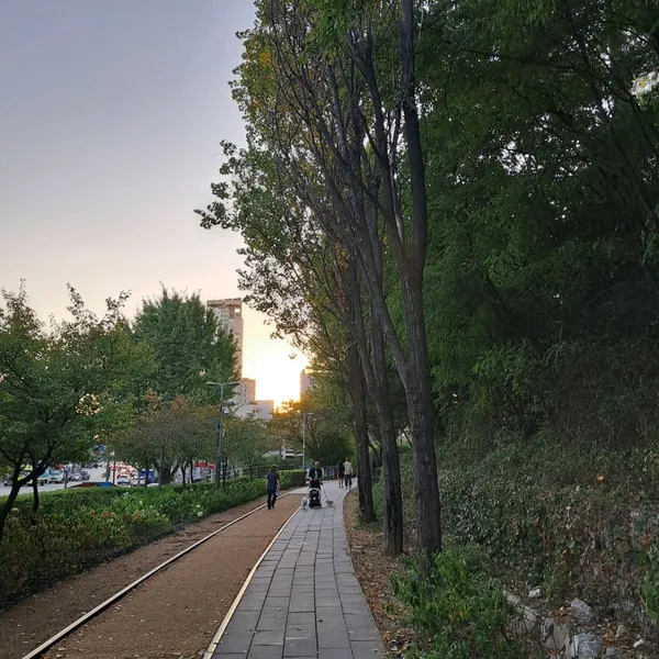 경춘선공릉숲길 사진 2
