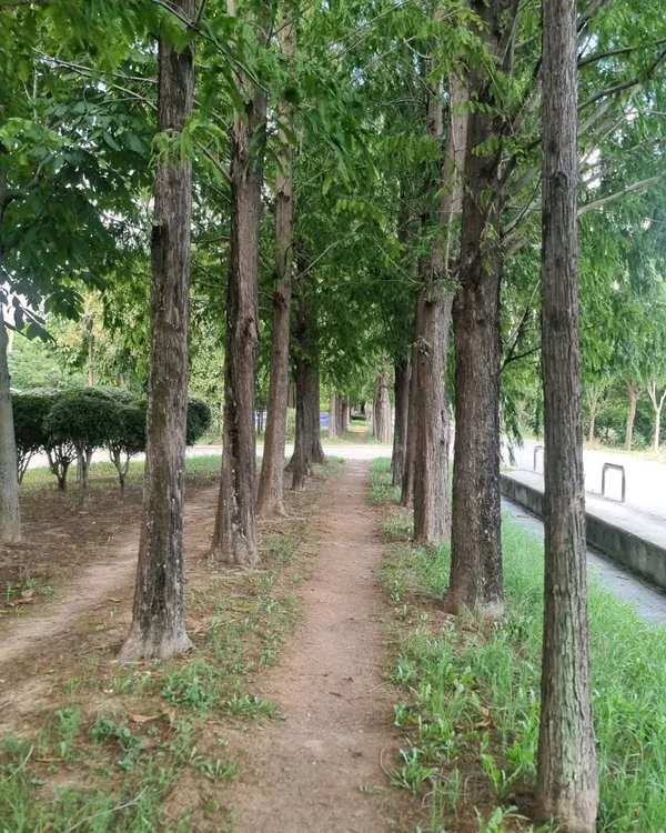ユルハ体育公園の写真4