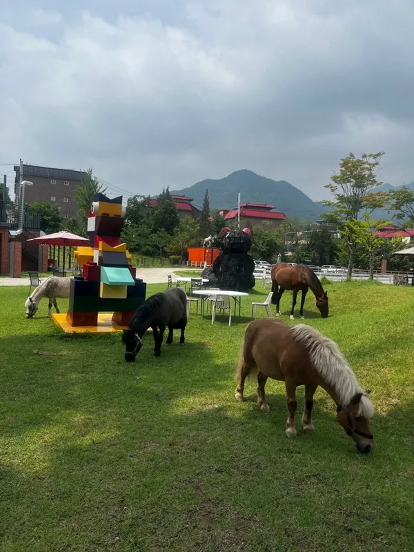 비스타밸리 사진 4