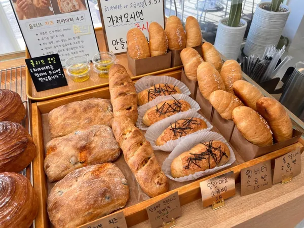 タモオの写真3