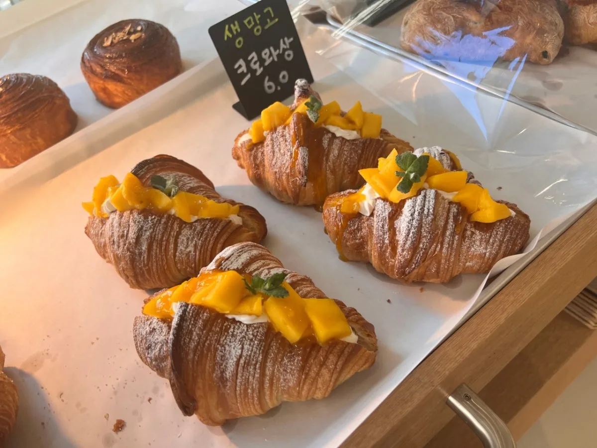 タモオのメイン写真