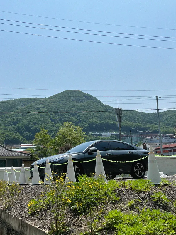 풀밭 사진 3