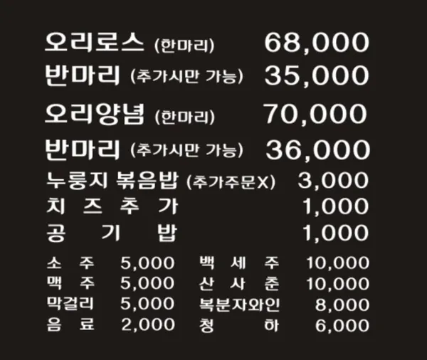 황금오리 사진 5