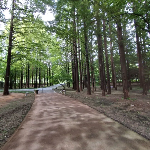 ソチョ文化芸術公園