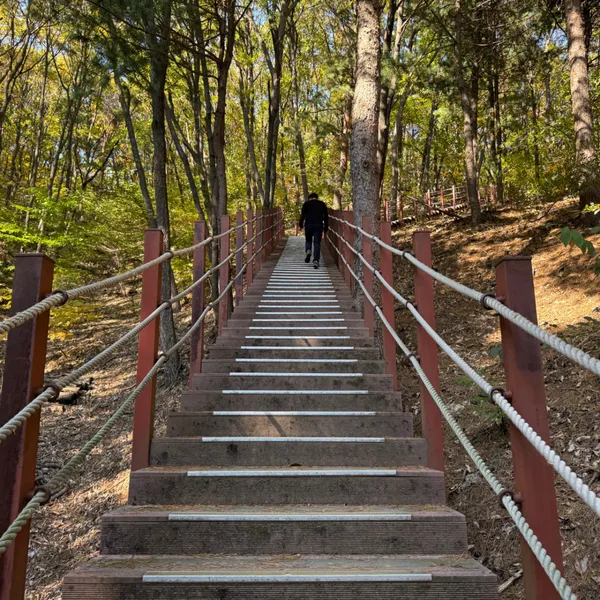 무봉산 사진 4