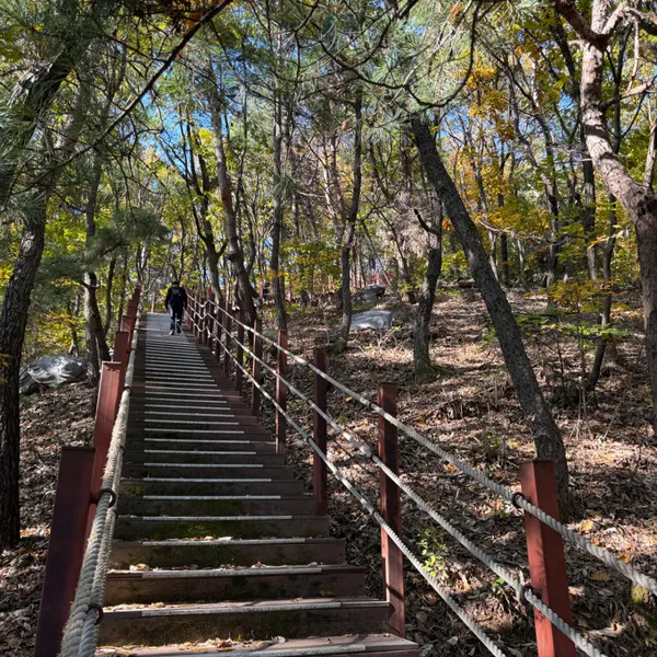 무봉산 사진 5