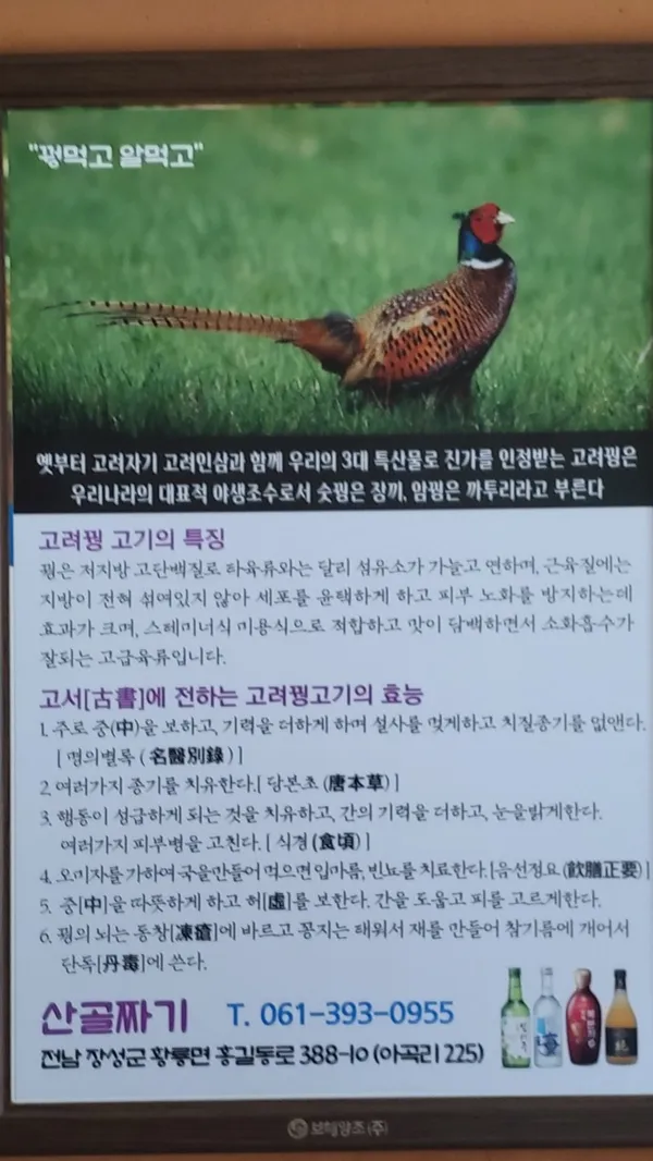 サンゴルチャギの写真3