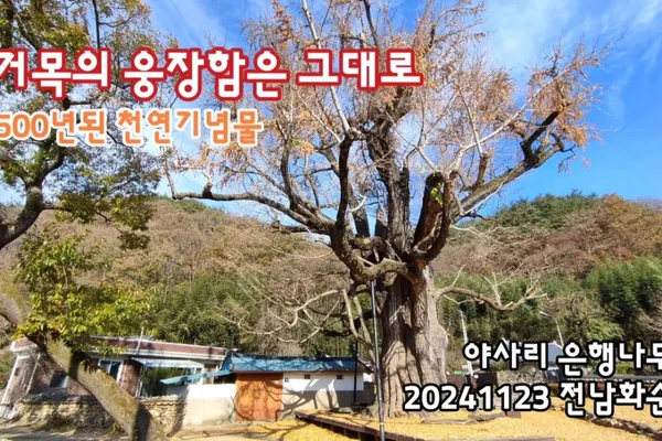 Hwasuniseomyeonuieunhaengnamu, photo 4
