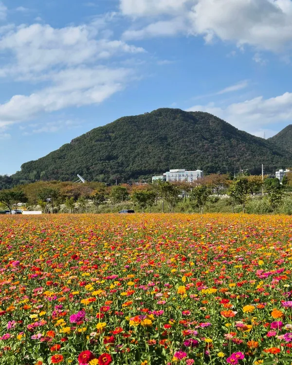 ファンサン公園