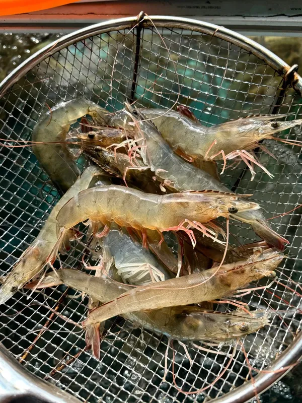 금호수산 사진 2
