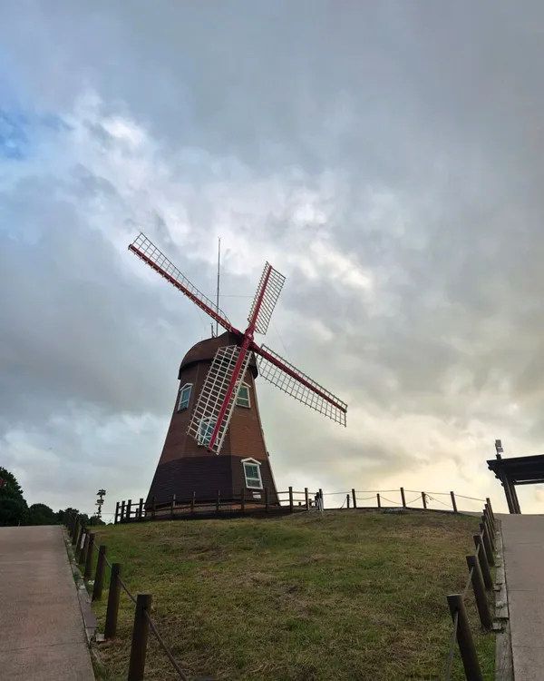 바람의언덕핫도그 사진 5