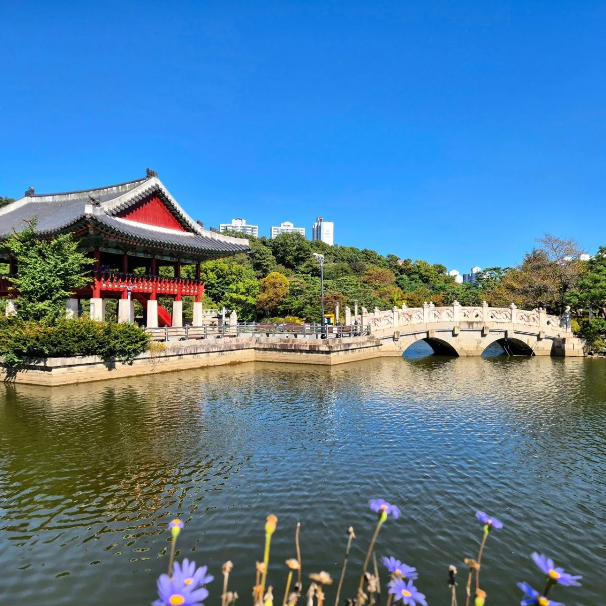 プンダンジュンアン公園のメイン写真