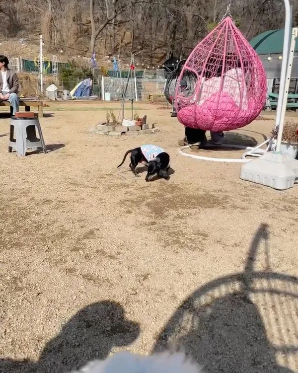 ダナムスプモンビレッジの写真5