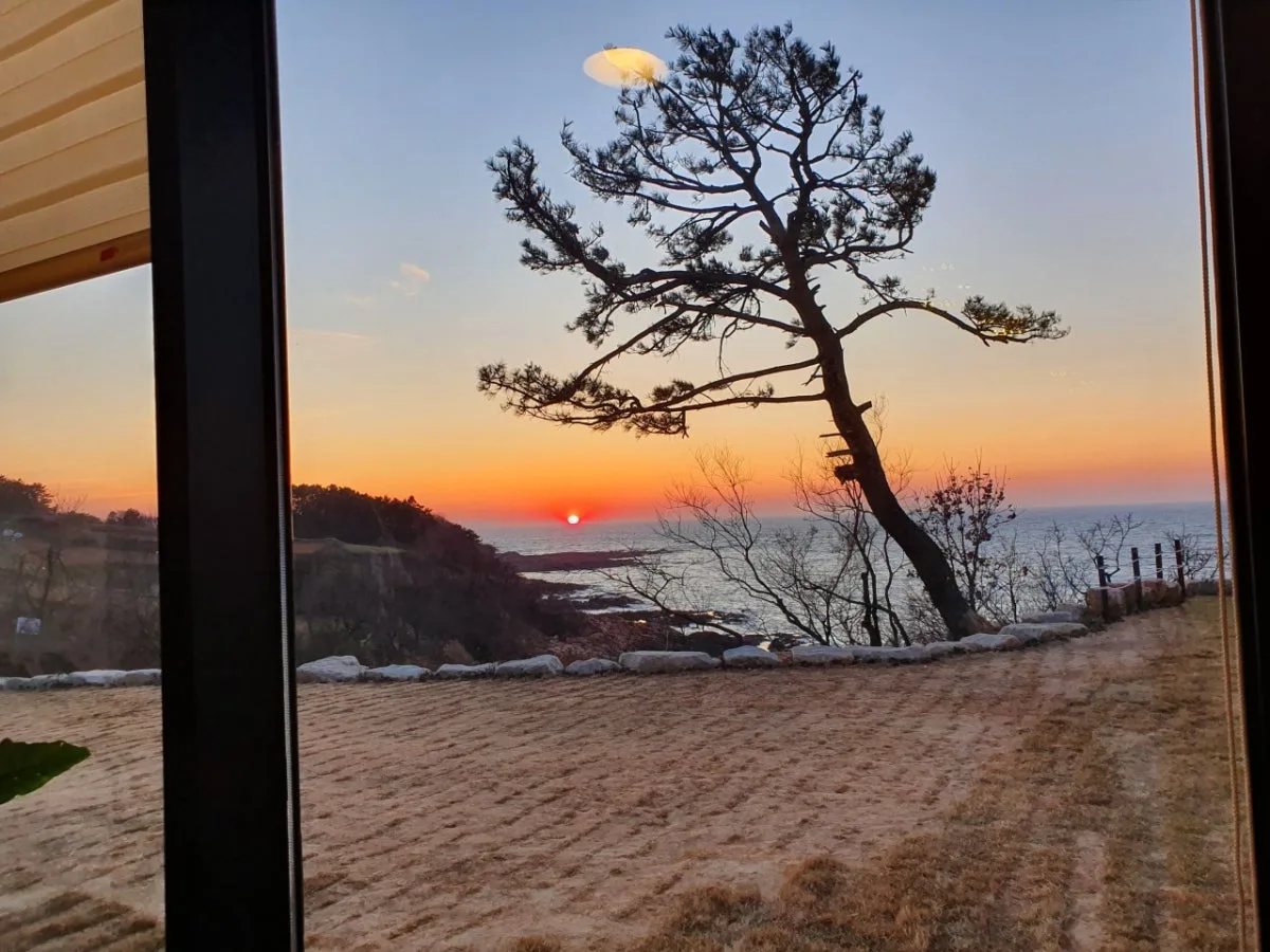 cafe909のメイン写真