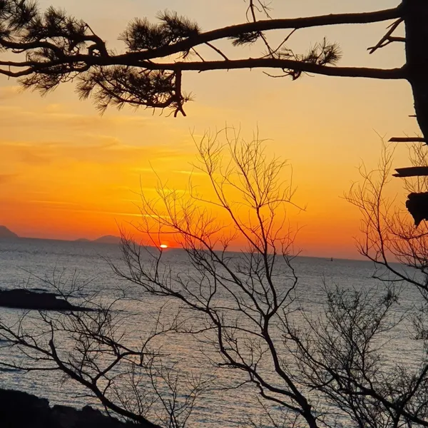cafe909の写真2